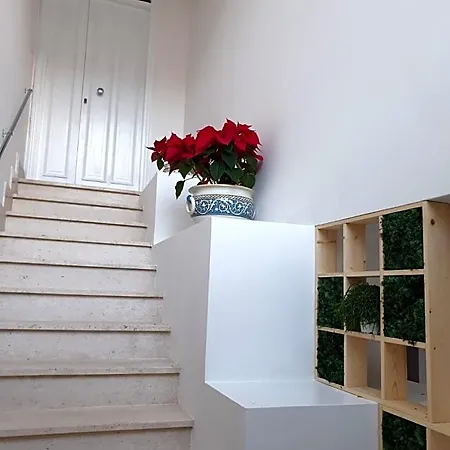 Solferino Bed & Breakfast Telese Terme